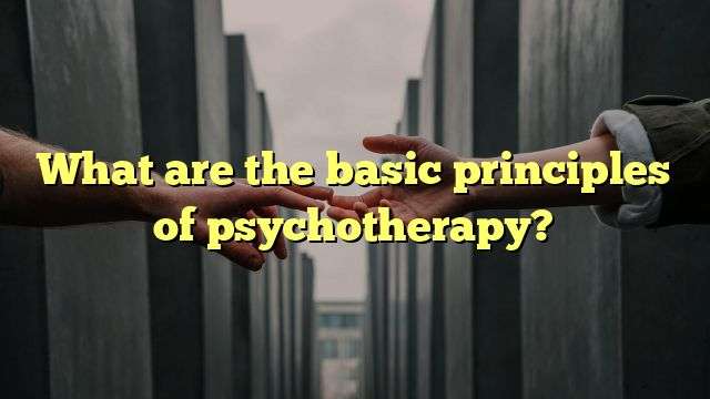 What are the basic principles of psychotherapy?