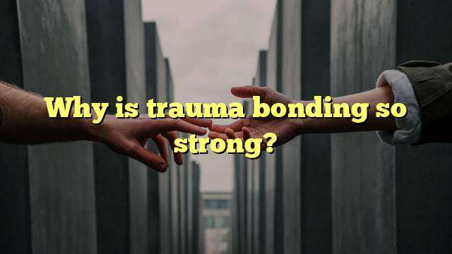 Why is trauma bonding so strong?