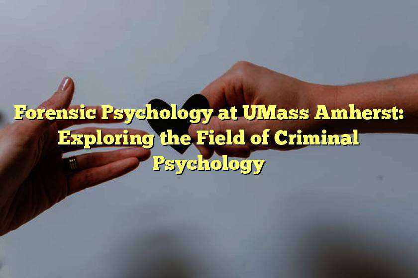 Forensic Psychology at UMass Amherst: Exploring the Field of Criminal Psychology
