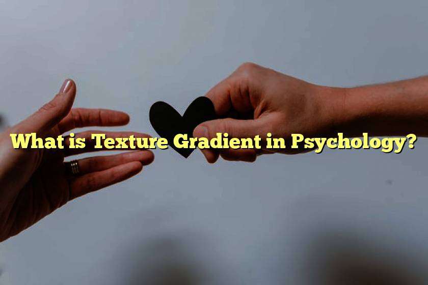 What is Texture Gradient in Psychology?